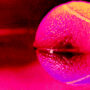 microsoft-retracts-paper-claiming-quantum-computing-breakthrough