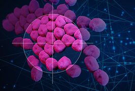 MIT_New-Antibiotic-01-PRESS
