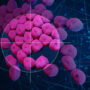 MIT_New-Antibiotic-01-PRESS